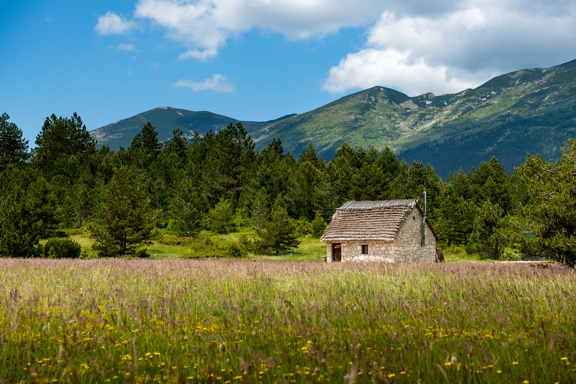 Tourist Attraction 2