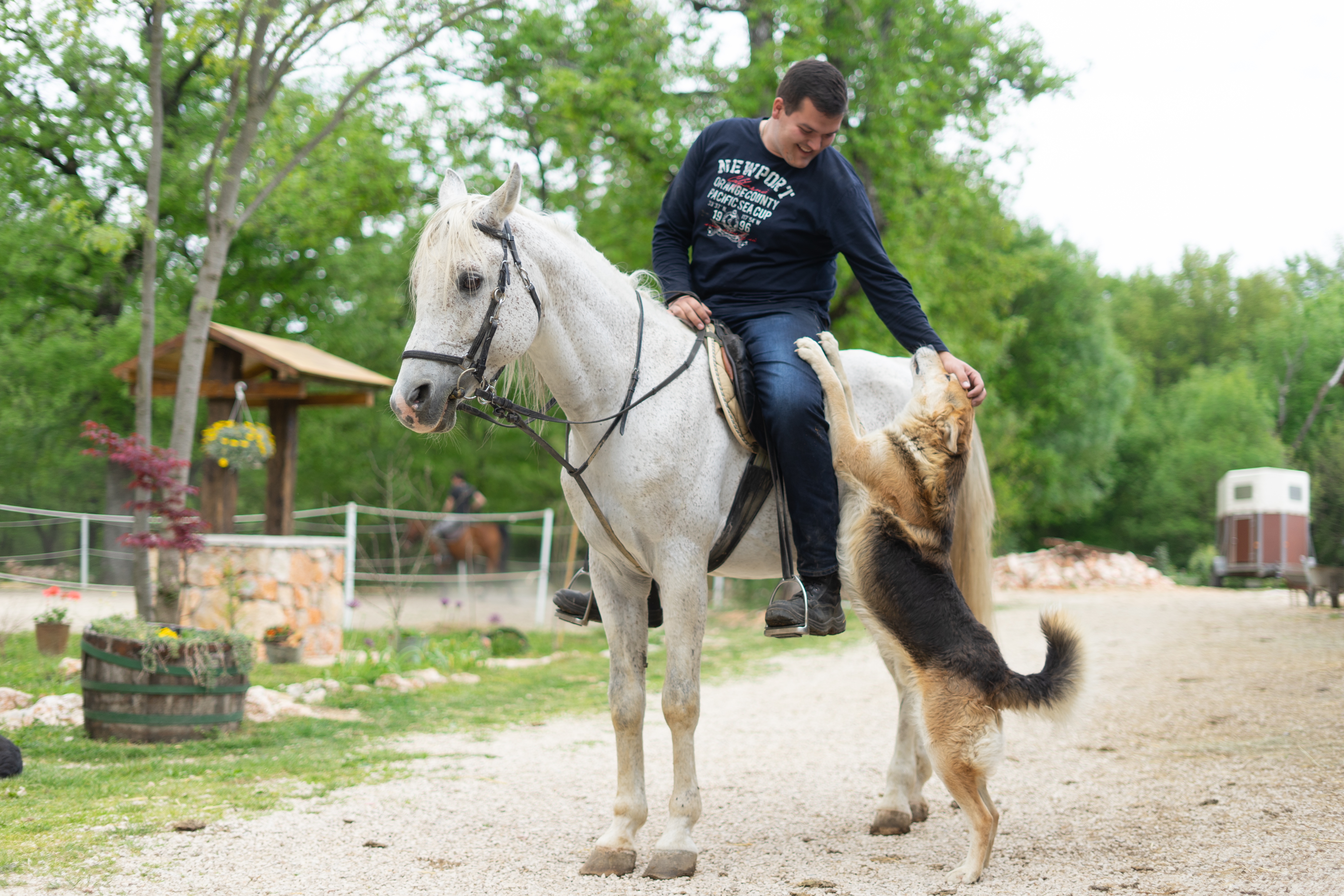 Tourist Attraction 2